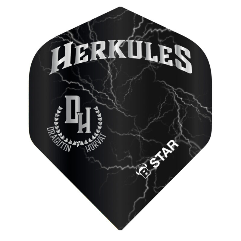 BULL'S B-Star Dragutin Horvat Flights Standard