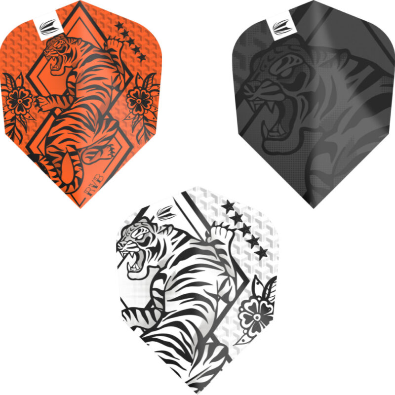 Target Pro.Ultra Raymond van Barneveld Ink Flights Ten X