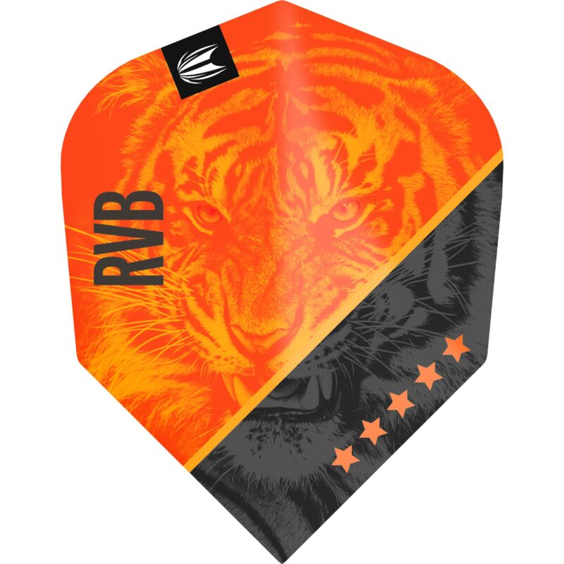 Target Pro.Ultra Raymond van Barneveld GEN 4 Flights No6